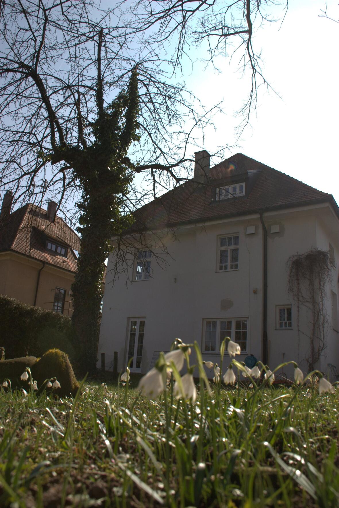 data-factory-gmbh-neuburg-blick-vom-garten-auf-die-villa