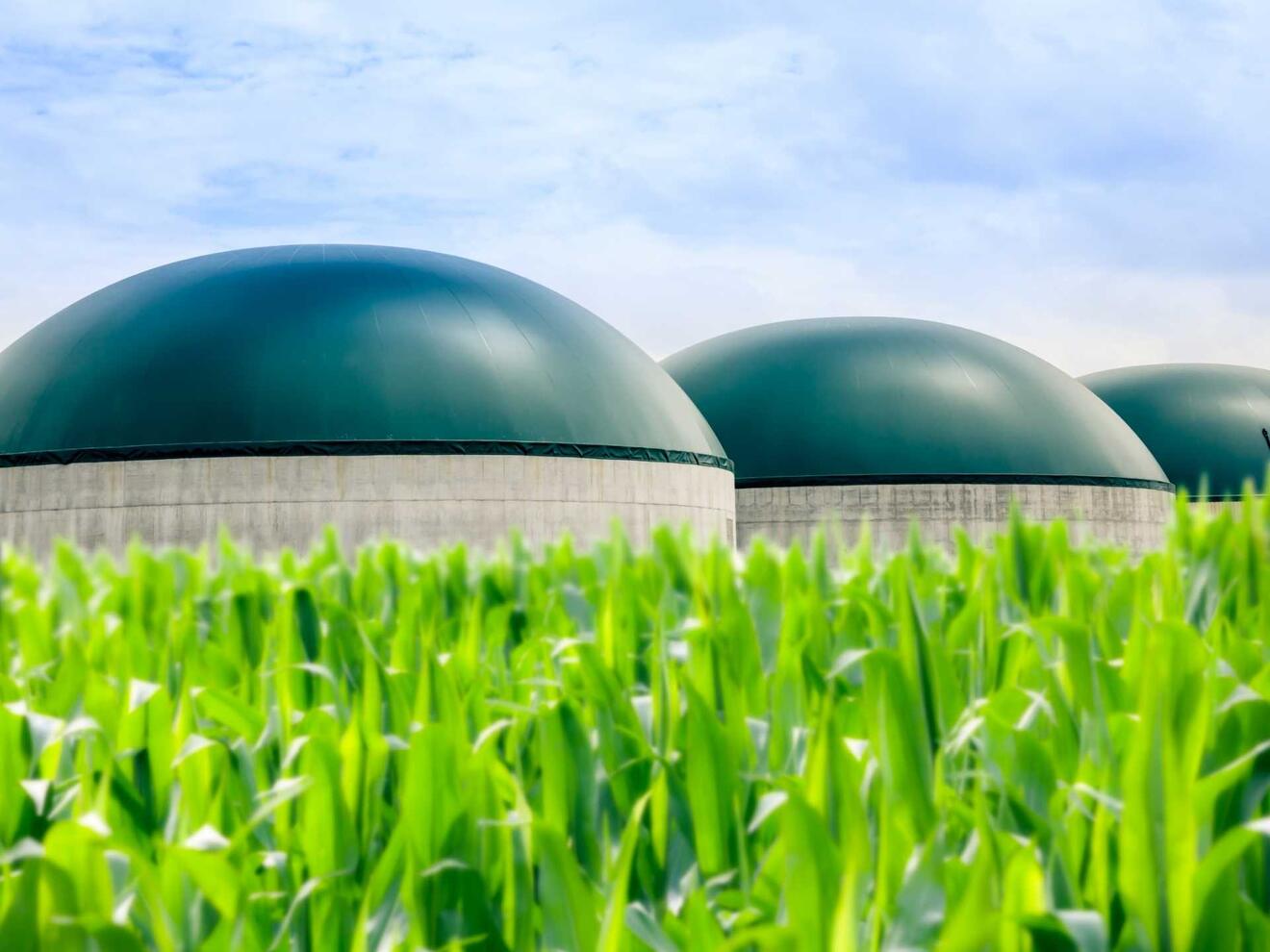 biogas-feld