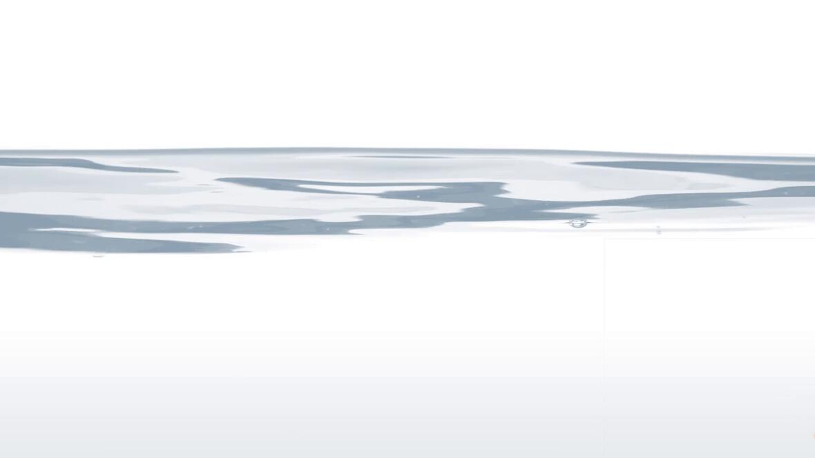 master-fischanimation-v2